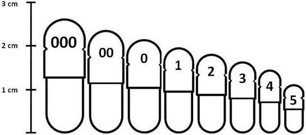 empty capsule size